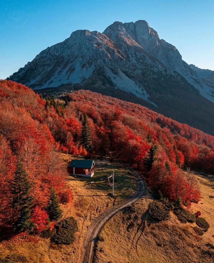 Mountain House Komovi-Radunovic Andrijevica Dış mekan fotoğraf