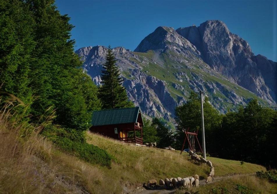Mountain House Komovi-Radunovic Andrijevica Dış mekan fotoğraf